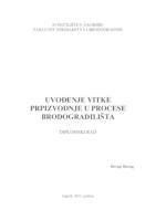 Uvođenje vitke proizvodnje u procese brodogradilišta