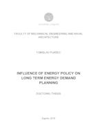 Influence of energy policy on long term energy demand planning
