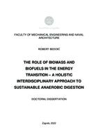 The role of biomass and biofuels in the energy transition – a holistic interdisciplinary approach to sustainable anaerobic digestion