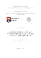 Surface modification and functionalization of natural zeolite – clinoptilolite