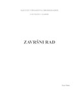 prikaz prve stranice dokumenta Razvoj aplikacije za kalibraciju stereovizijskog sustava primjenom modela konačnih elemenata